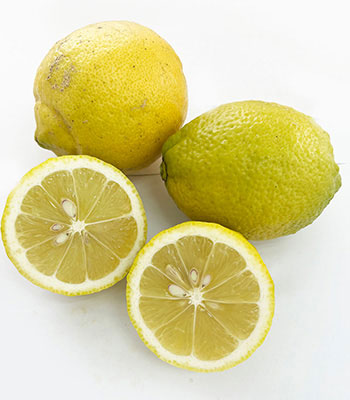 式森さんレモン1225