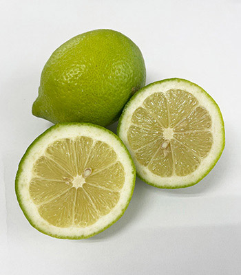 式森さんエコレモン