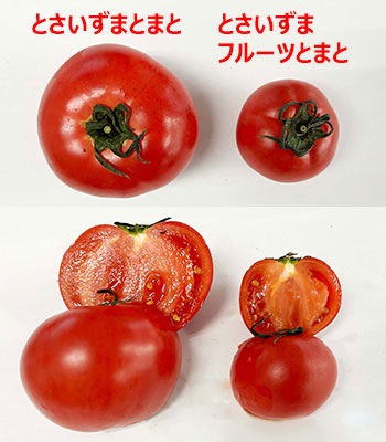 フルーツとまと0521