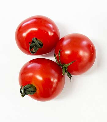 無限樹0715キャロル10