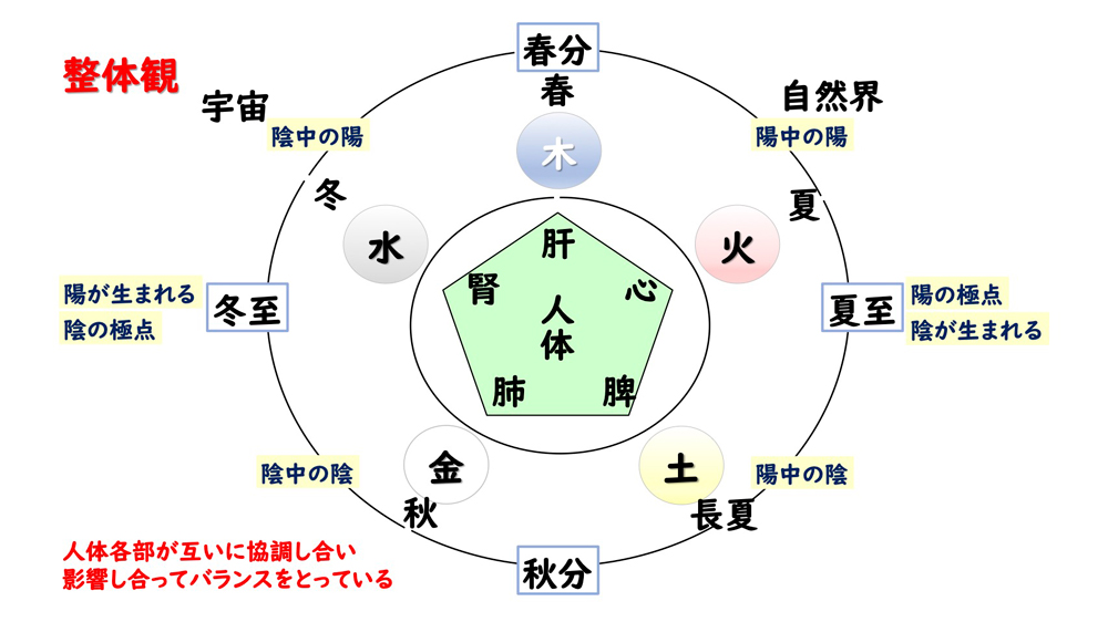 整体観の宇宙と人体の図