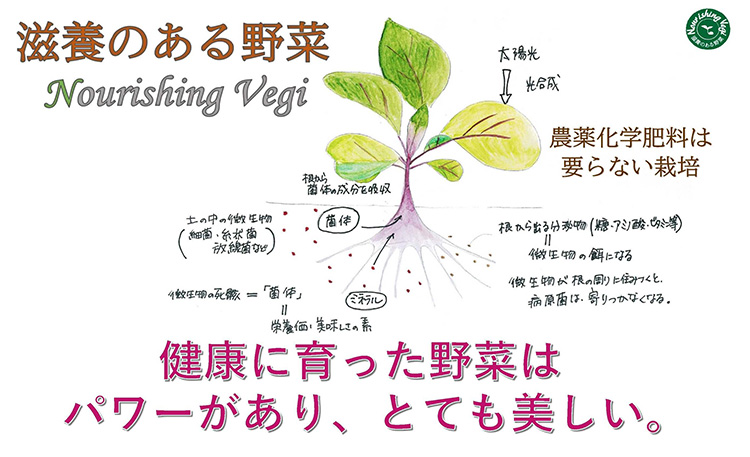 滋養のある野菜