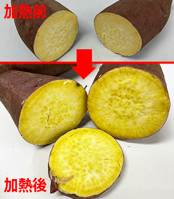 すずほっくり0307