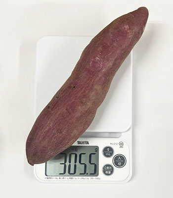 ほっこり金時1216