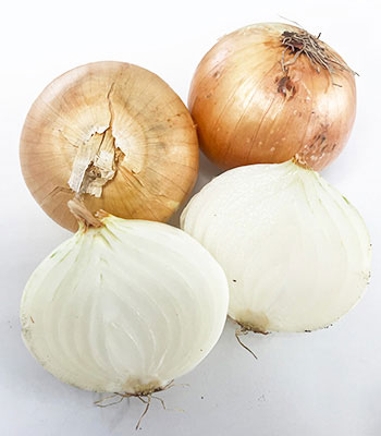 中村さんの玉ねぎ0829