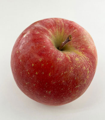 岩木山りんご早生ふじ1008