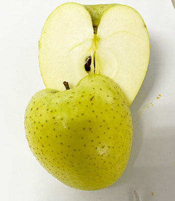 岩木山りんご王林1224