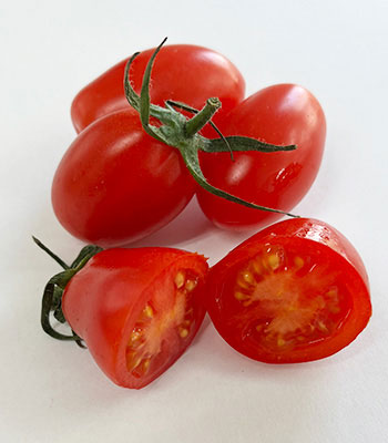 なんぶアイコ260116