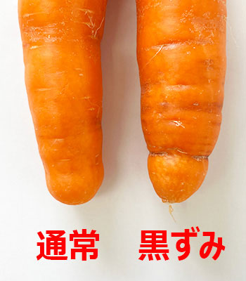 藤本さん黒ずみ0202