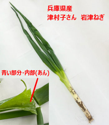 岩津ねぎ260109