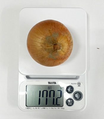 渡辺さんの玉ねぎ1119