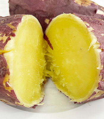 銀山貯蔵加熱後260119