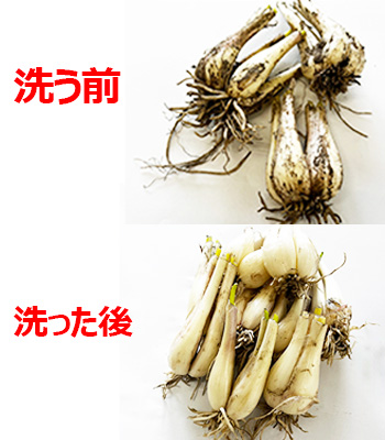 尾崎さん0508